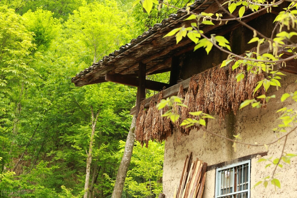 农村旅游业发展新思路,乡村休闲旅游网