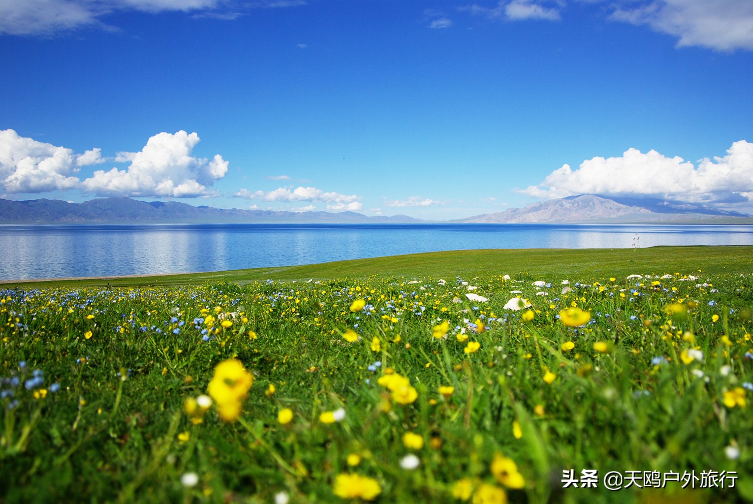 南北疆5-6月自驾最美线路图,说走就走的南北疆自驾旅行