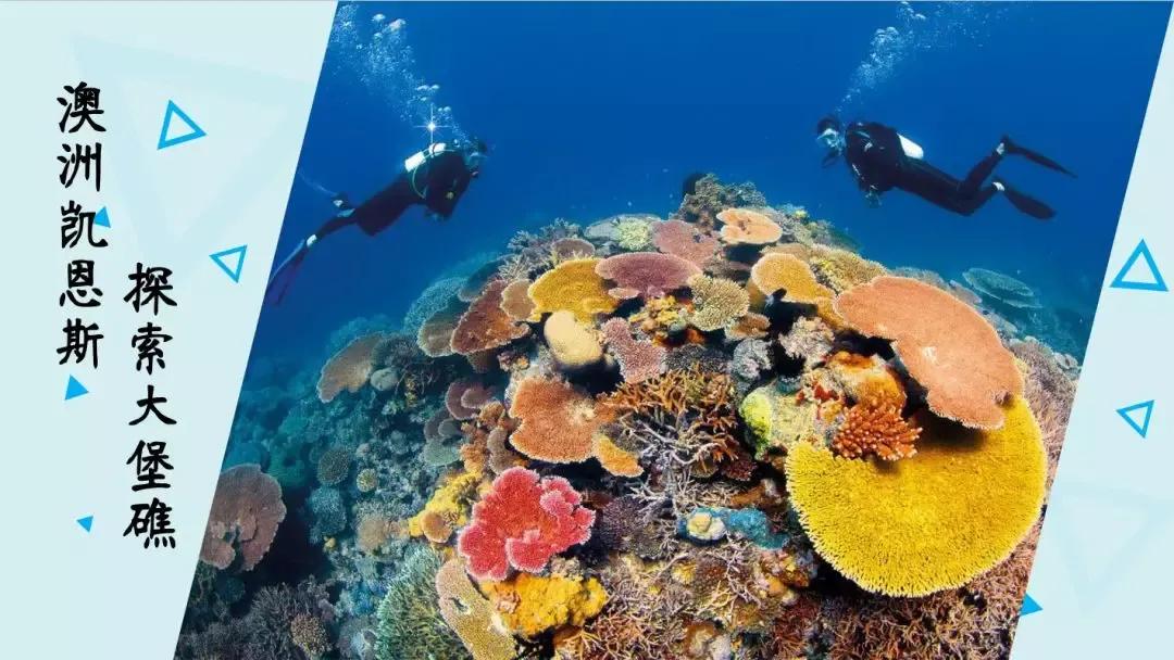 现在加入安利,送一个微店和一个直播间,转发即可赚钱