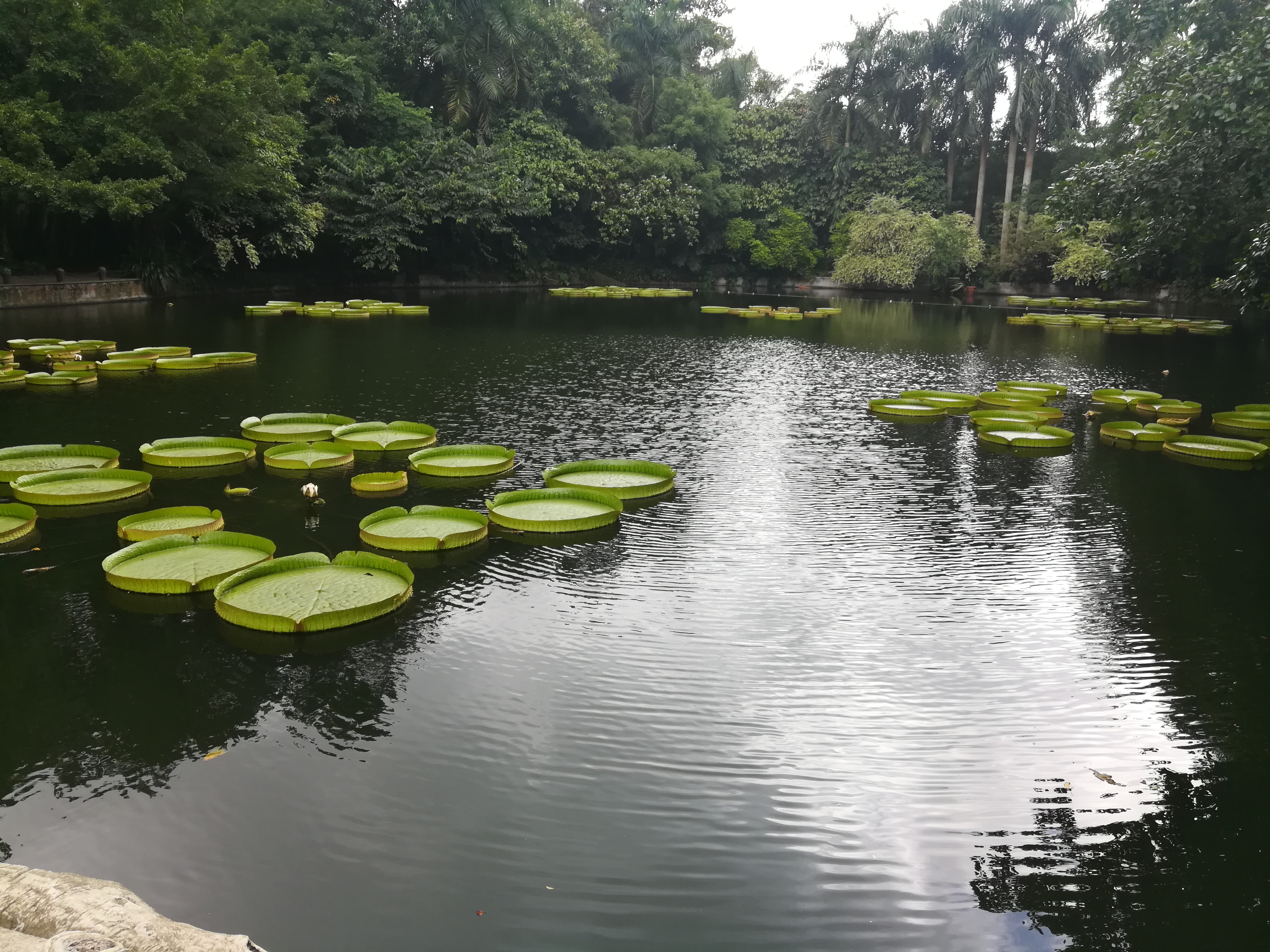 青秀山奇幻之旅,南宁2022奇妙之旅