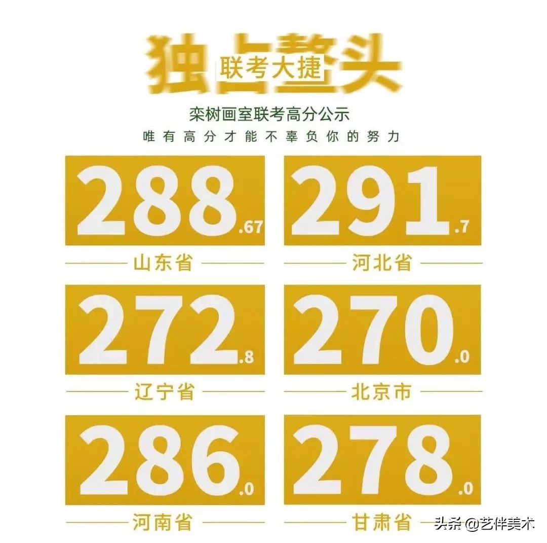 栾树画室宋庄校区,北京栾树画室集训费