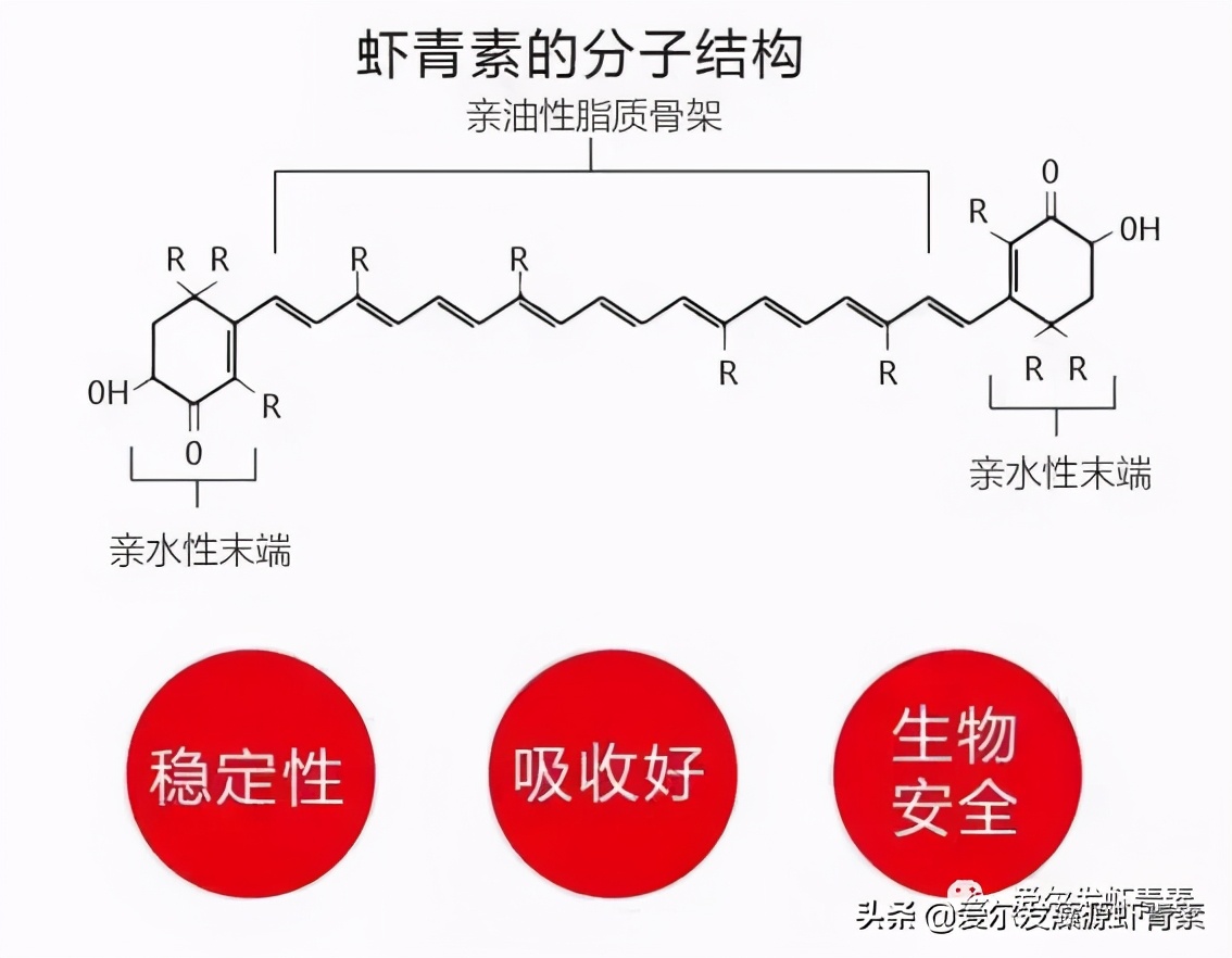 为什么会有人说虾青素是骗局,虾青素到底有多可怕