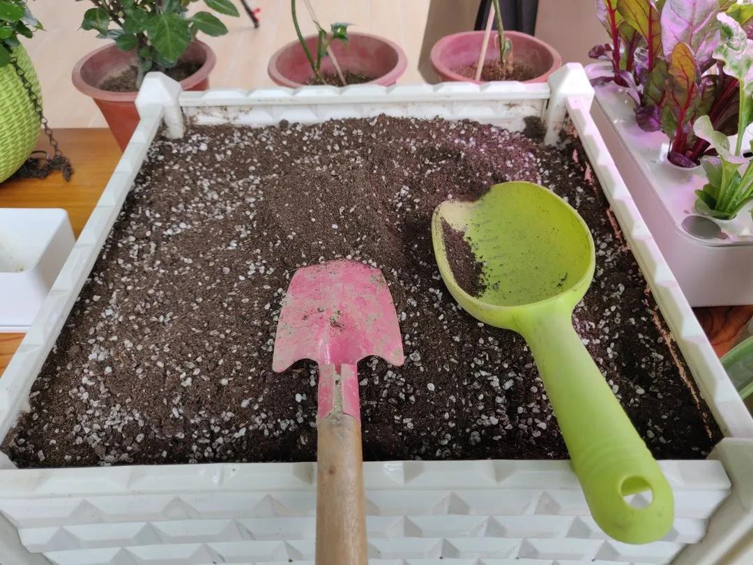 简易无土栽培蔬菜,自制无土栽培蔬菜神器