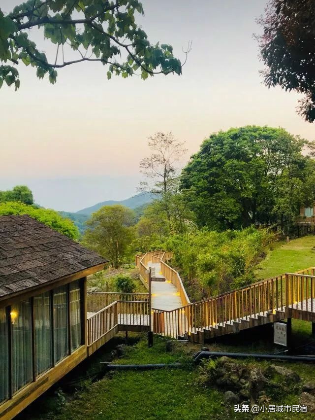 从化旅游景点大全樱花,从化樱花旅游景点