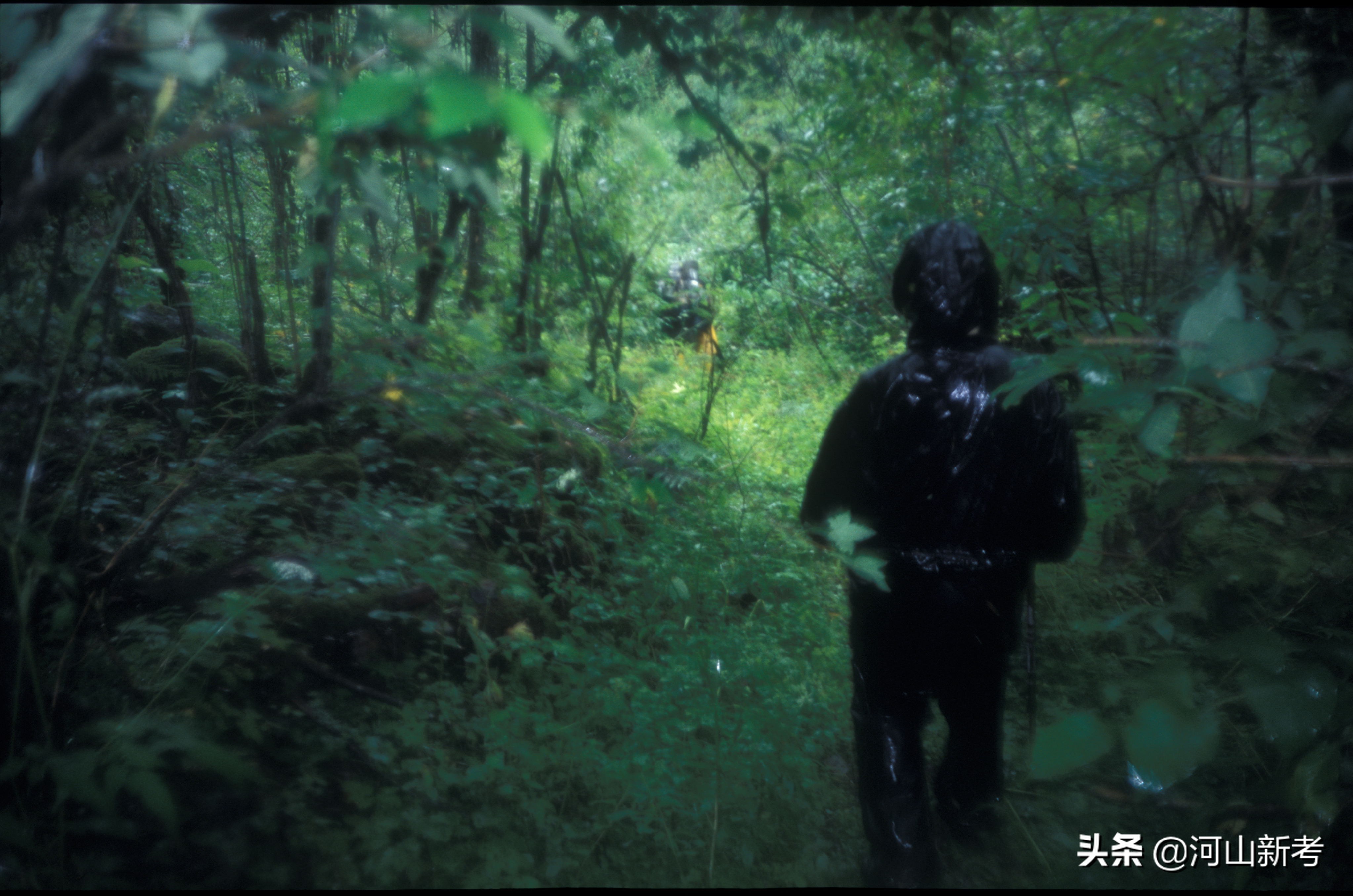 秦岭古栈道老照片,寻访秦岭古村落的感受