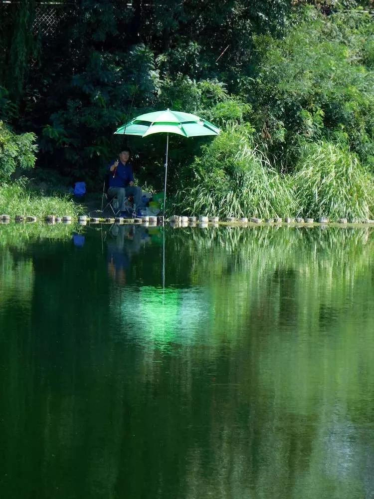 北京独门独院小四合院出售,北京四合院单身公寓