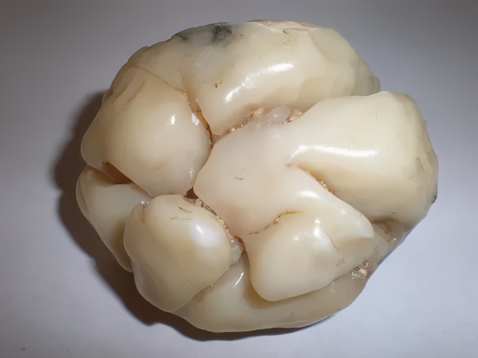 起步价5位数，究竟是什么样的石头，让那么多人冒死去捡