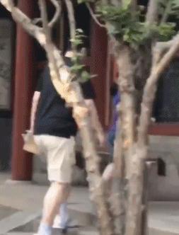 濮氭槑浠栧コ鍎跨幇鍦ㄥ楂樹簡,濮氭槑鐨勭幇鍦ㄥコ鍎胯韩楂樺灏戠背