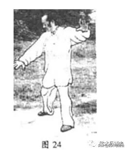 纯阳拳龙心掌视频,纯阳八步龙心掌