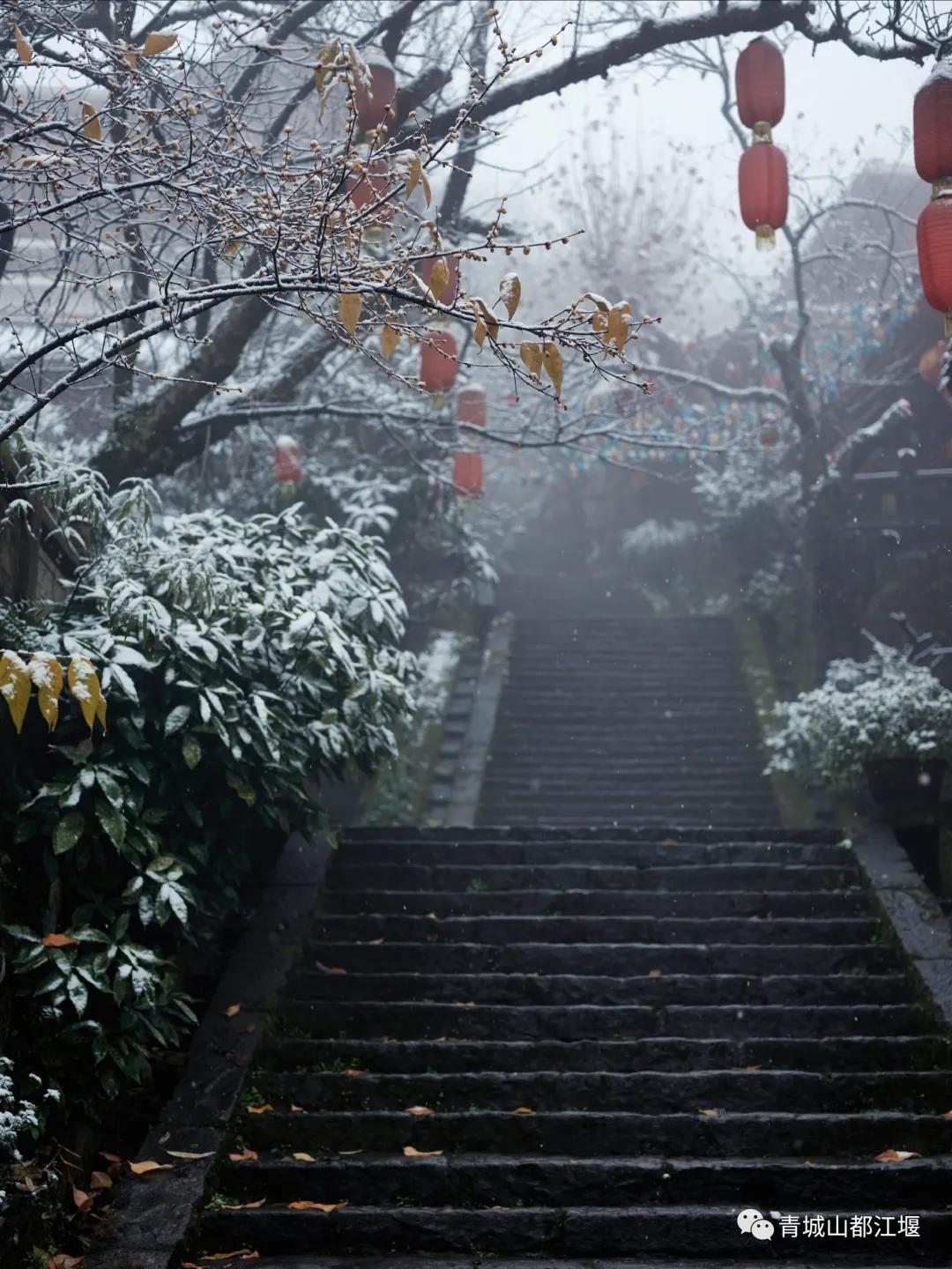 无雪不成冬,都江堰玩雪一日游