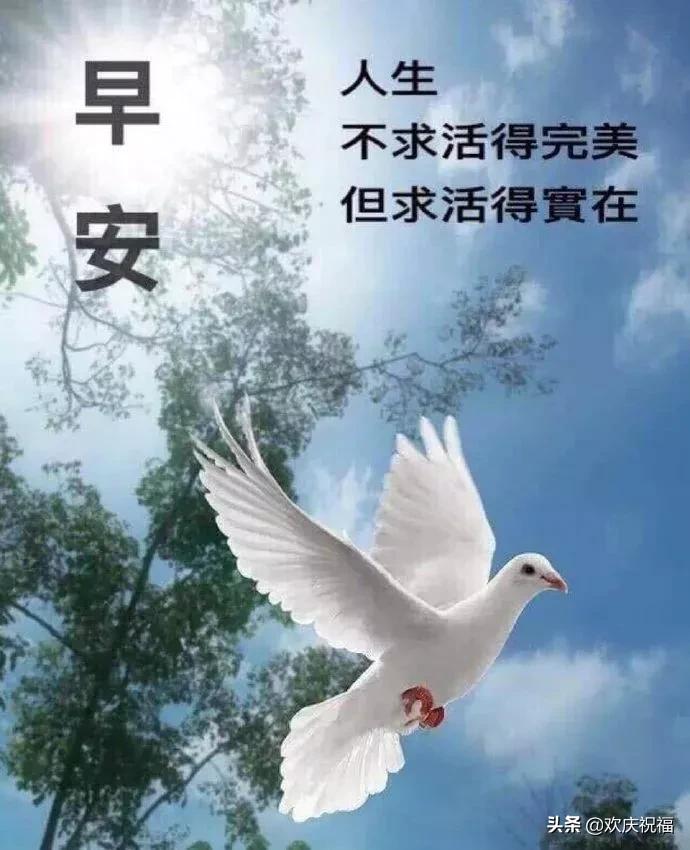 星期三早安图片大全大图,星期五的早安图片大全