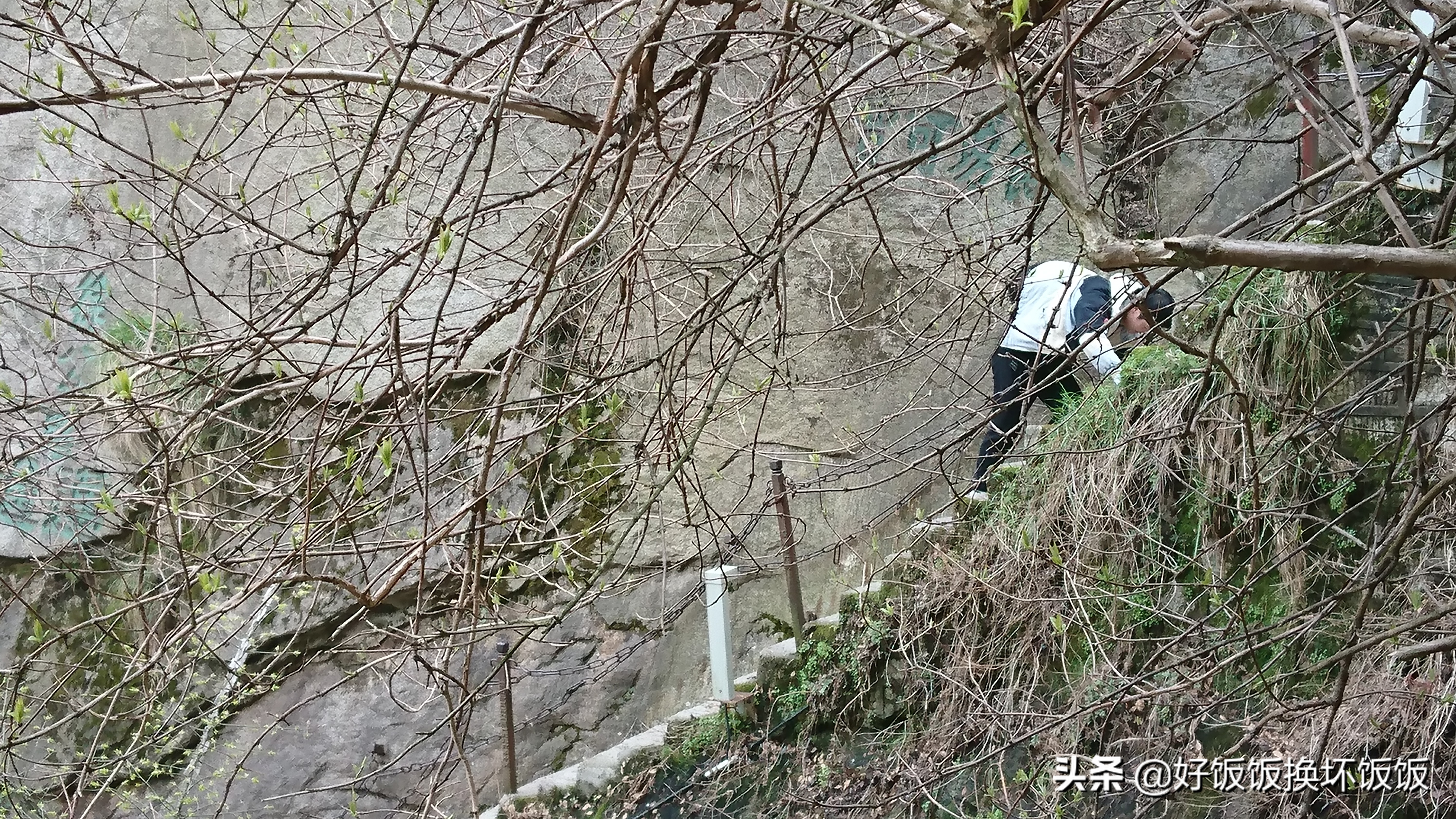 华山站到华山北峰怎么走,华山西峰到华山北峰山路怎样