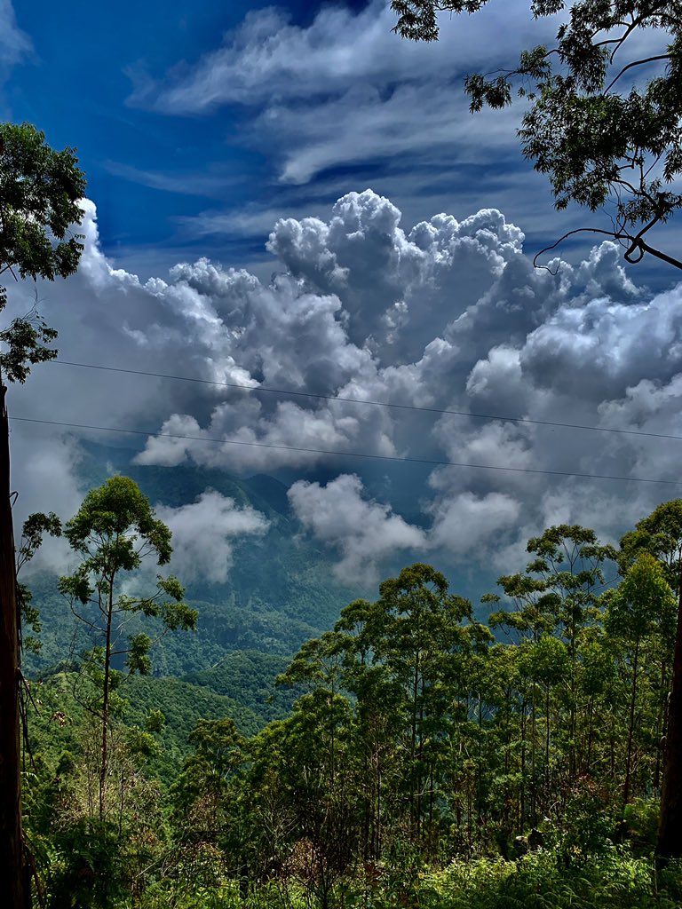 印度是什么社会制度,印度是五常吗