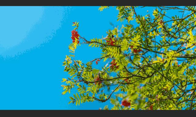 ps抠图新手纯小白教程从零开始,ps抠图最快又完整的详细操作步骤