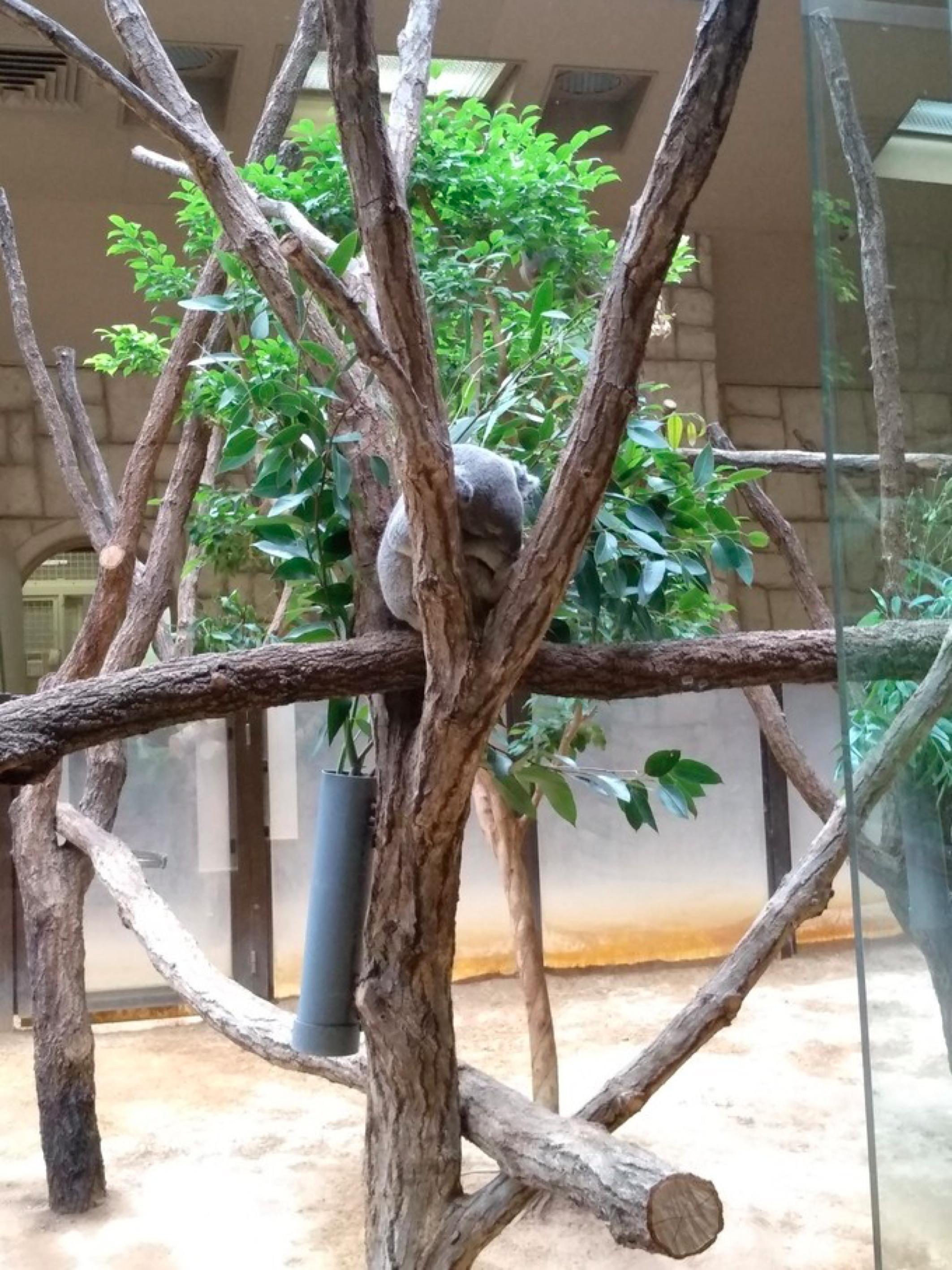 名古屋自由,名古屋3天自由行攻略