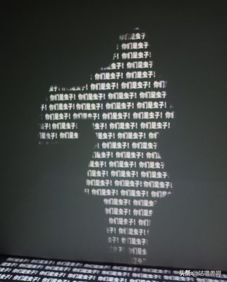 带你发现上海超治愈打卡地,上海人不会推荐的地方