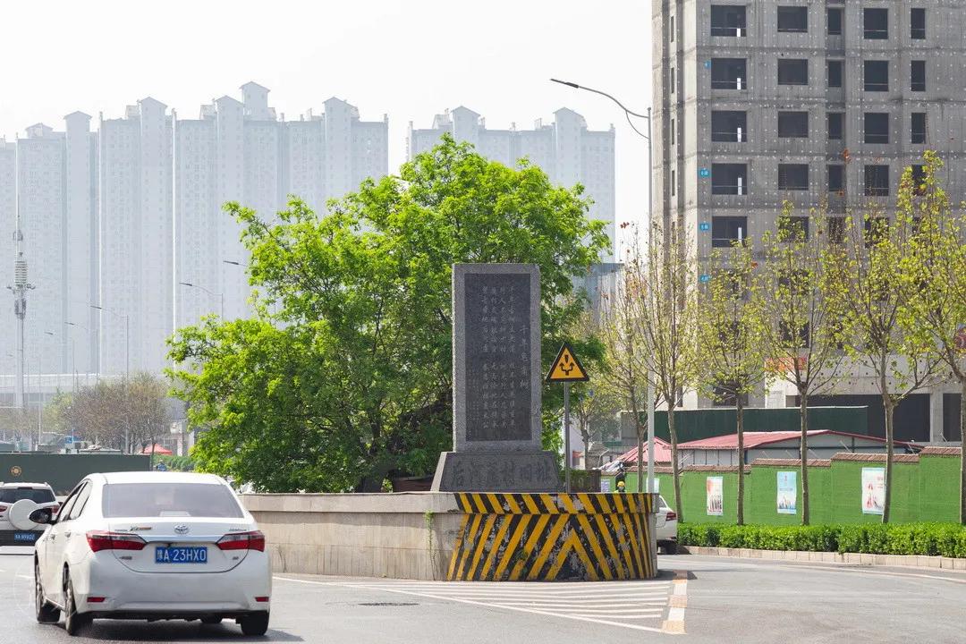 今天，带郑州的老铁们逛吃后河芦