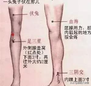 人体穴位图打通全身经络只需一穴,胃经经络穴位图口诀