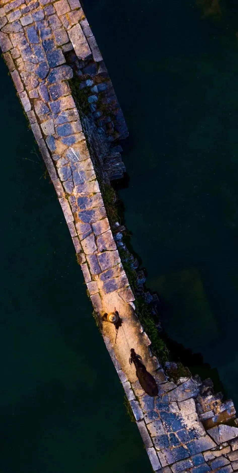 chinesebridge是什么意思,chinesebridge英语作文