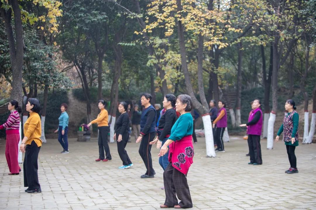 莲湖区晚上哪里可以散步,莲湖晨练