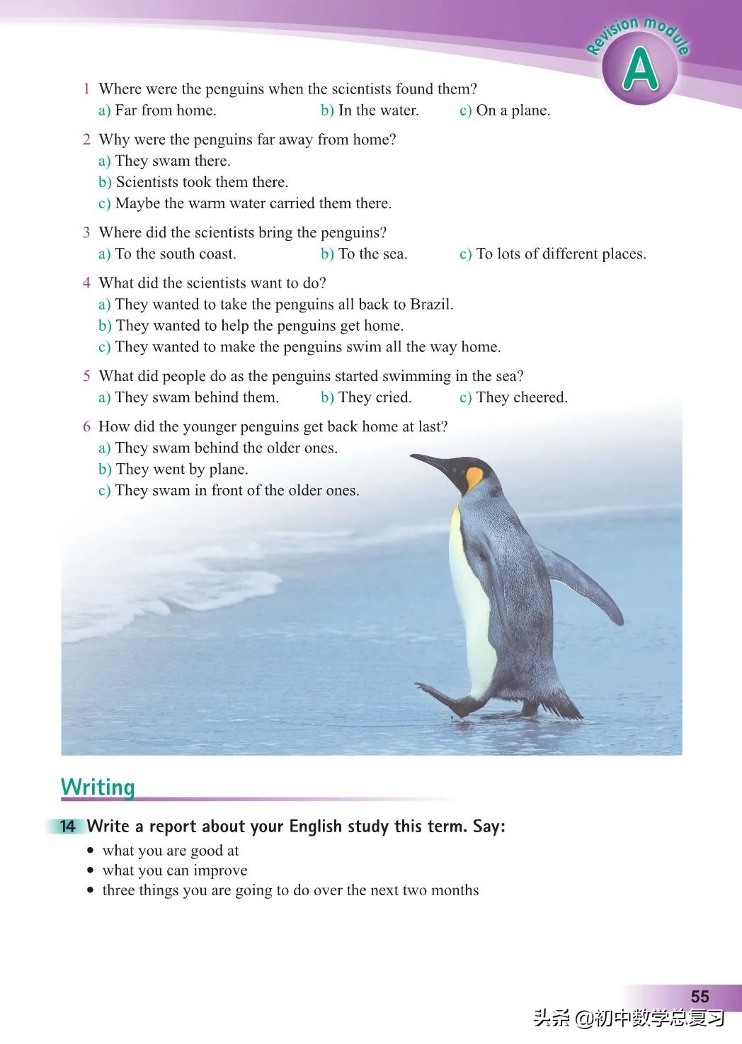 外研版英语八年级上册电子版,外研版英语电子课本八下