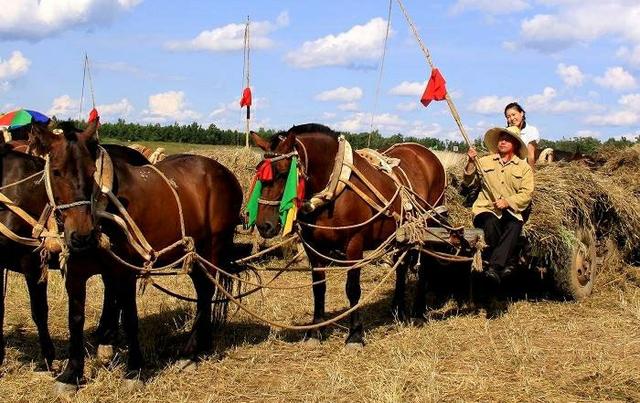 70后80后的你们还记得这首歌吗,80年代的童年去姥姥家