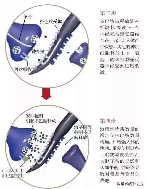 知识点有什么,知识点的重要性