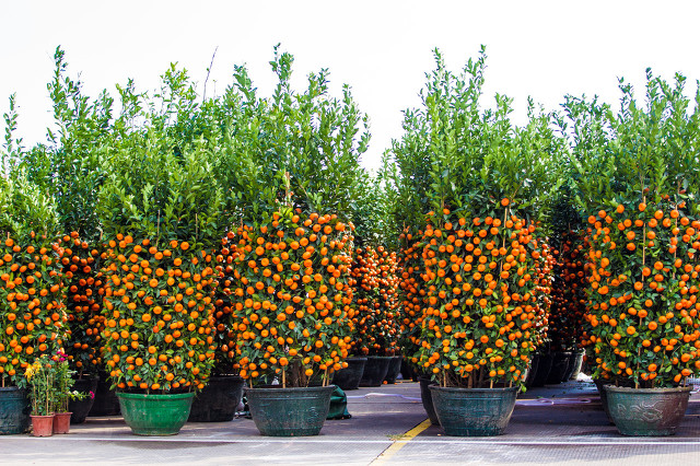 在家加工啥项目最挣钱,没职业搞什么加工能赚钱