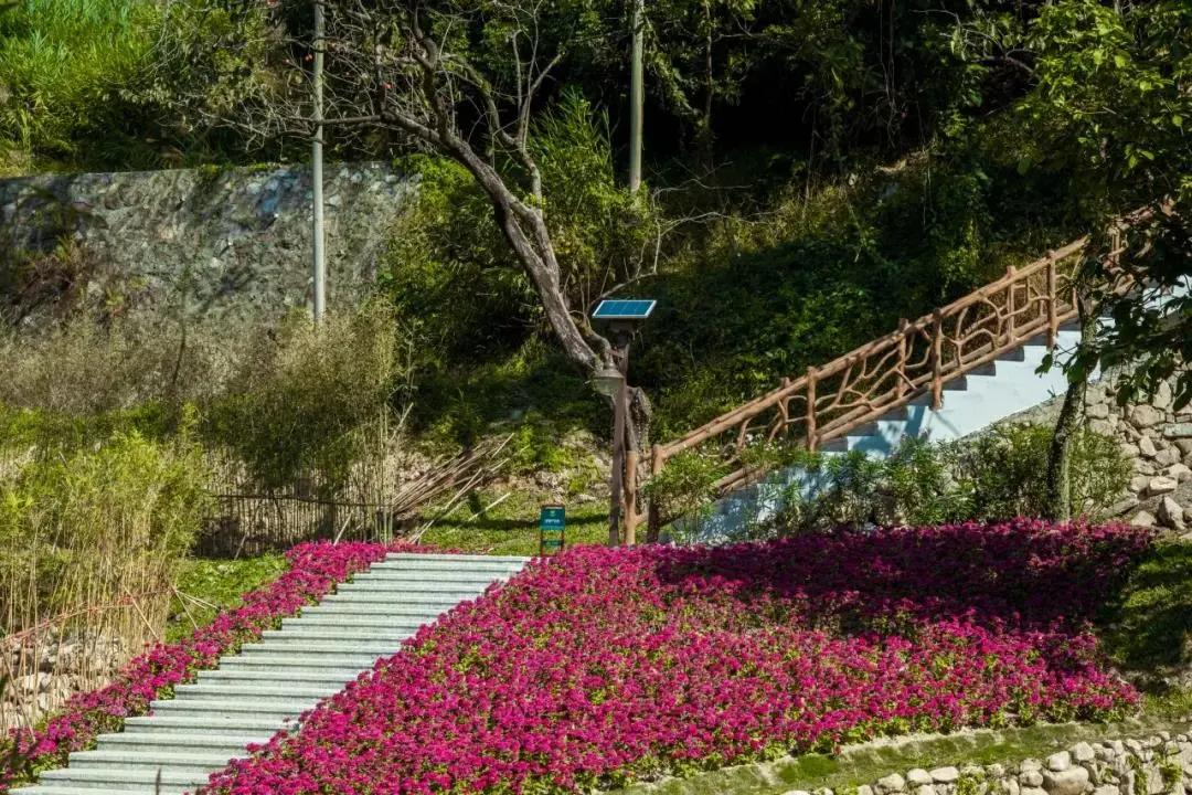 在大山深处幽静绝美的村落,深藏大山中的村落