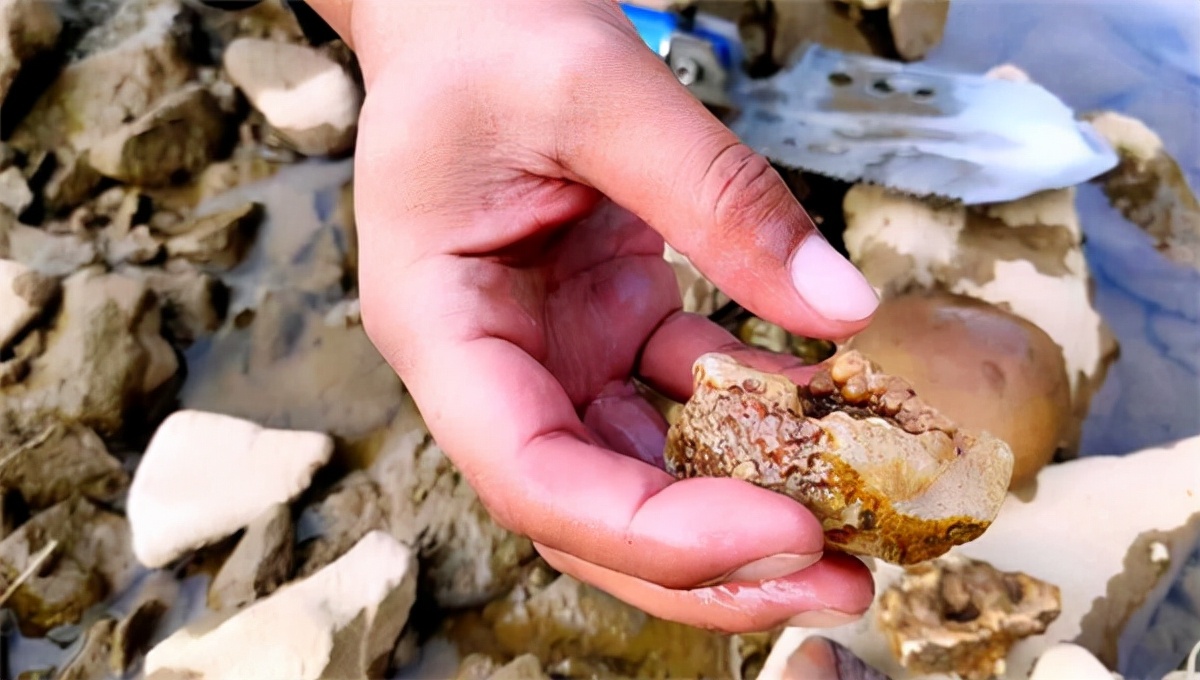 内蒙阿拉善9500万玛瑙奇石,20年前9600万的奇石现在值多少钱