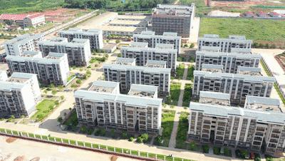 平南镇所有的学校,平南城区学校划分图