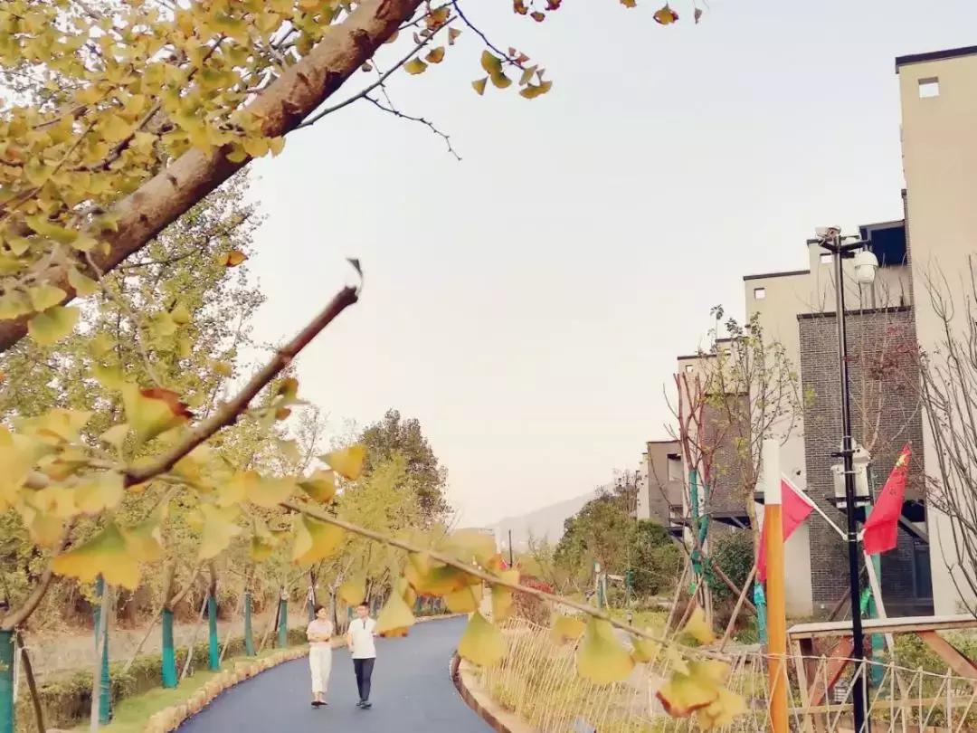 云雾山最近的路线,云雾山二日游