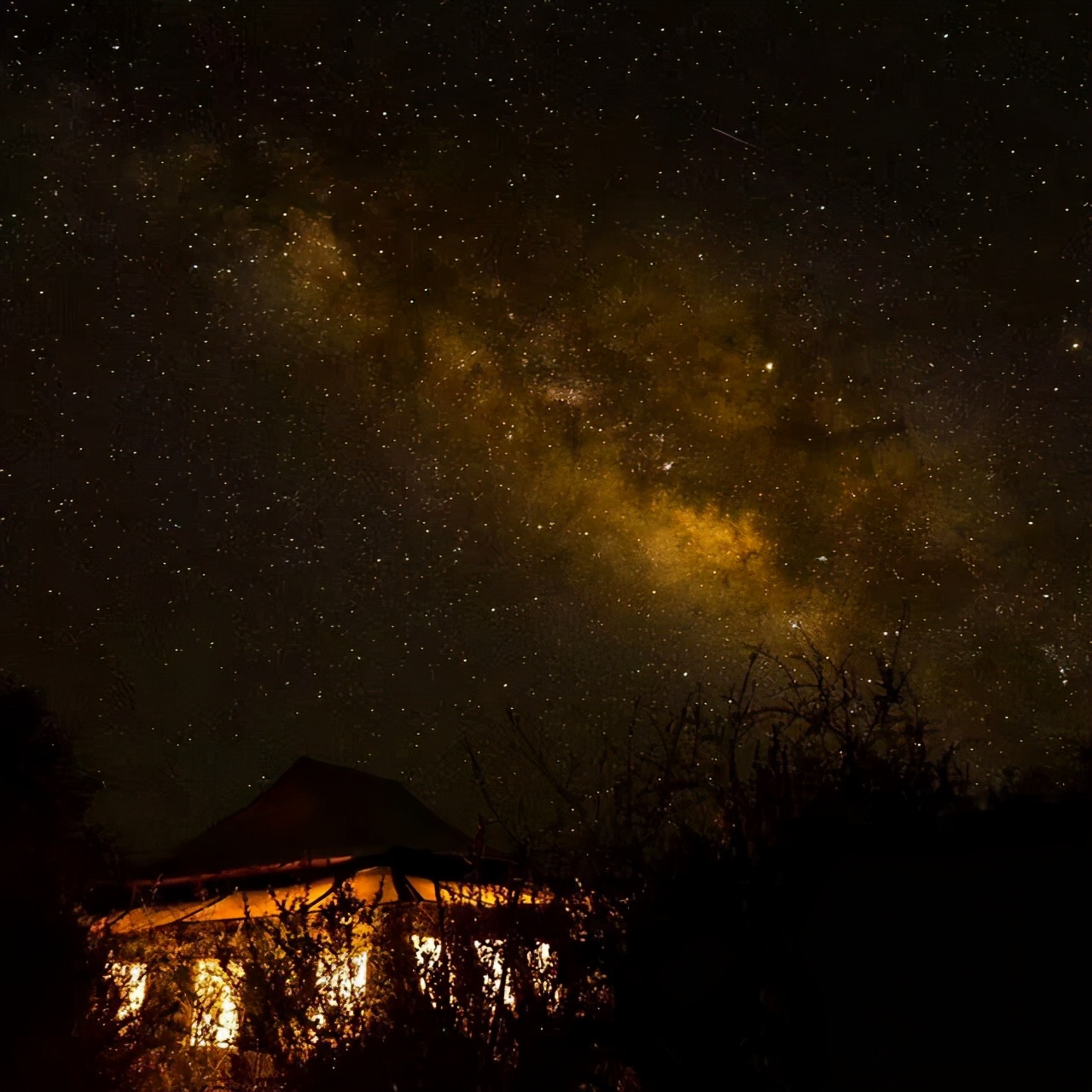 美国女孩藏区寻根，征服LV、爱马仕，一条围巾卖万元带牧民致富
