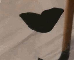 启功硬笔书法作品全集,启功写给朋友指正的书法立轴作品