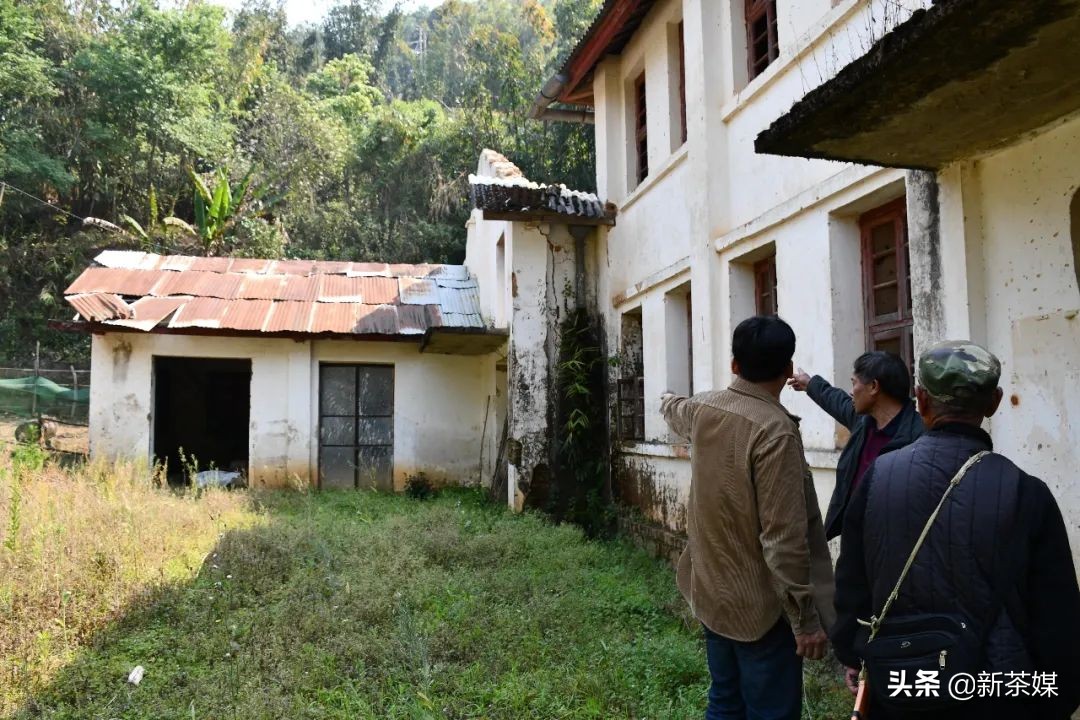 南糯山茶叶的故事,南糯山茶厂视频