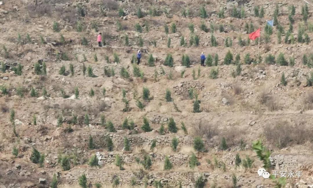 【永年公安】节日“警”相随，十里春风，最美“警”色在这里！