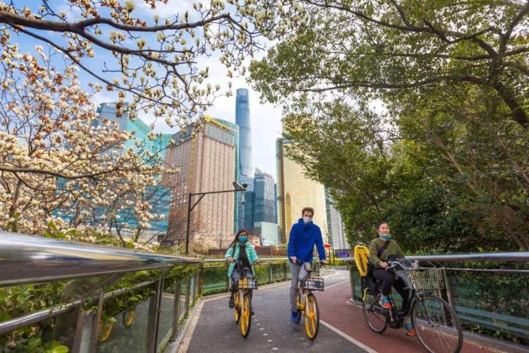 f1电竞英国,f1电竞比赛费用