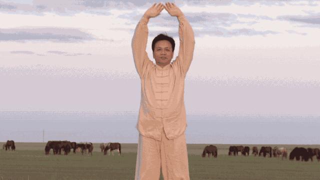 鍖绘灄涓尰鎺ㄦ嬁姝ｉ,鍖绘灄姝ｉ鍥剧墖