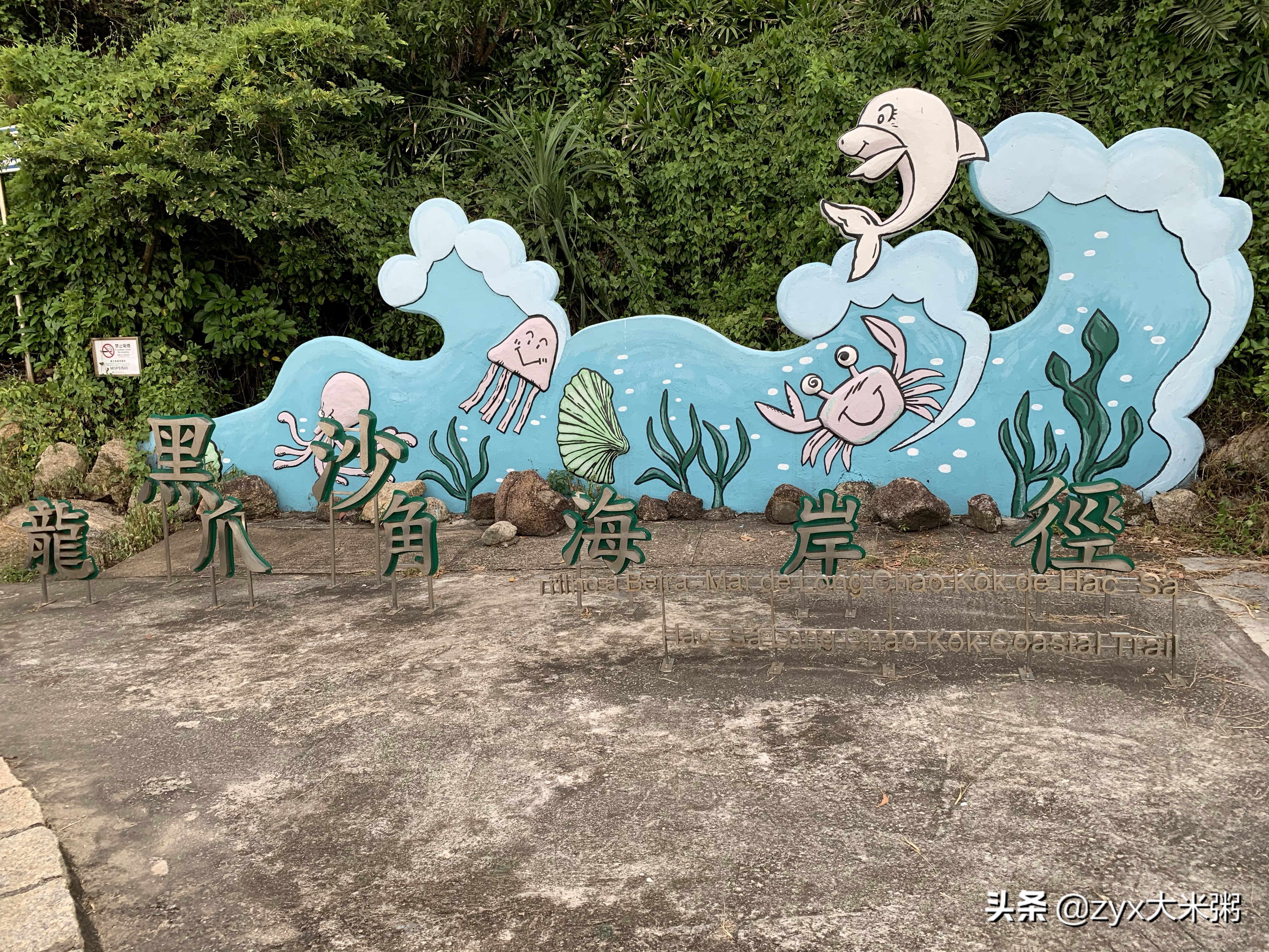 澳门龙爪角山,澳门龙爪角全景图