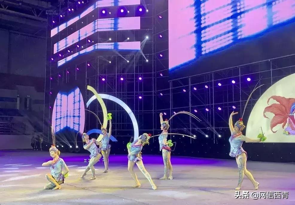 礼赞共和国七十华诞共享全民健身欢歌——西青区第七届全民健身运动会开幕式巡礼