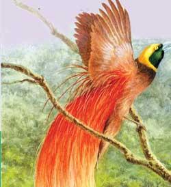 拟音大师唱歌视频,拟声大师