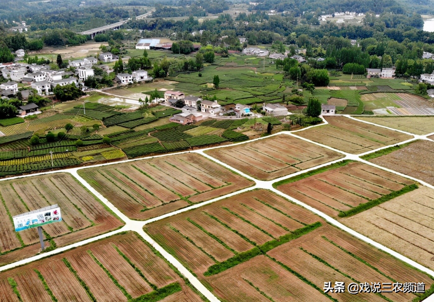 2023地亩补贴多少钱,地补今年每亩补贴多少元