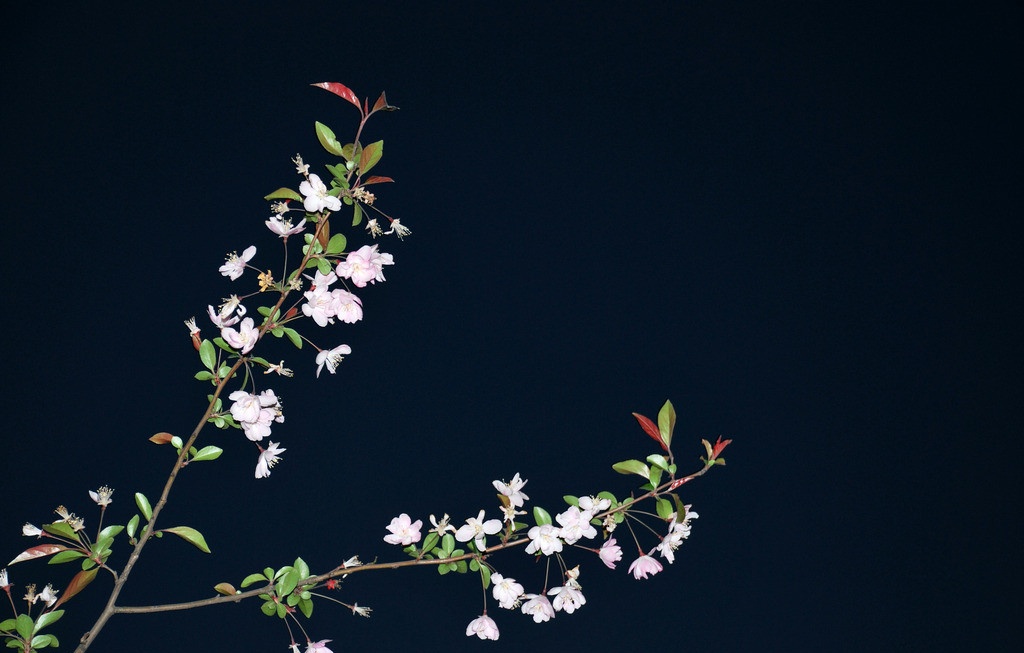 新加坡多所学校设自由活动，为开发学生创意及想象力~