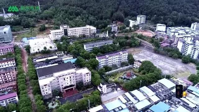 鍗拌薄绁佷笢鑸媿,鍗拌薄绁佷笢褰掗槼