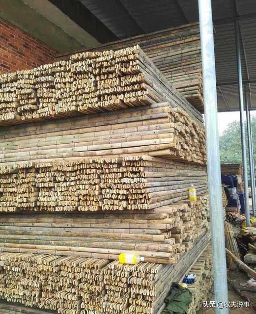 农村的竹子只能当柴烧?教你5个方法,让其变废为宝不愁卖不掉!