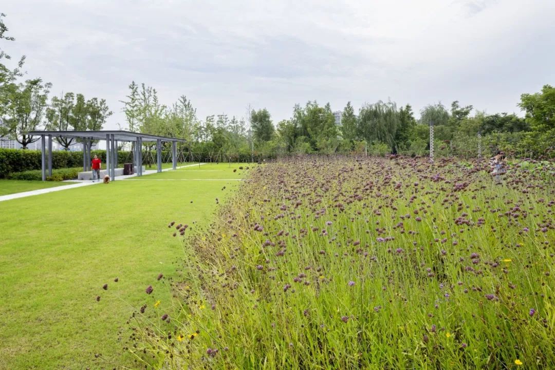 杭州地铁绿城杨柳郡电话,杭州拱墅区绿城运河地铁