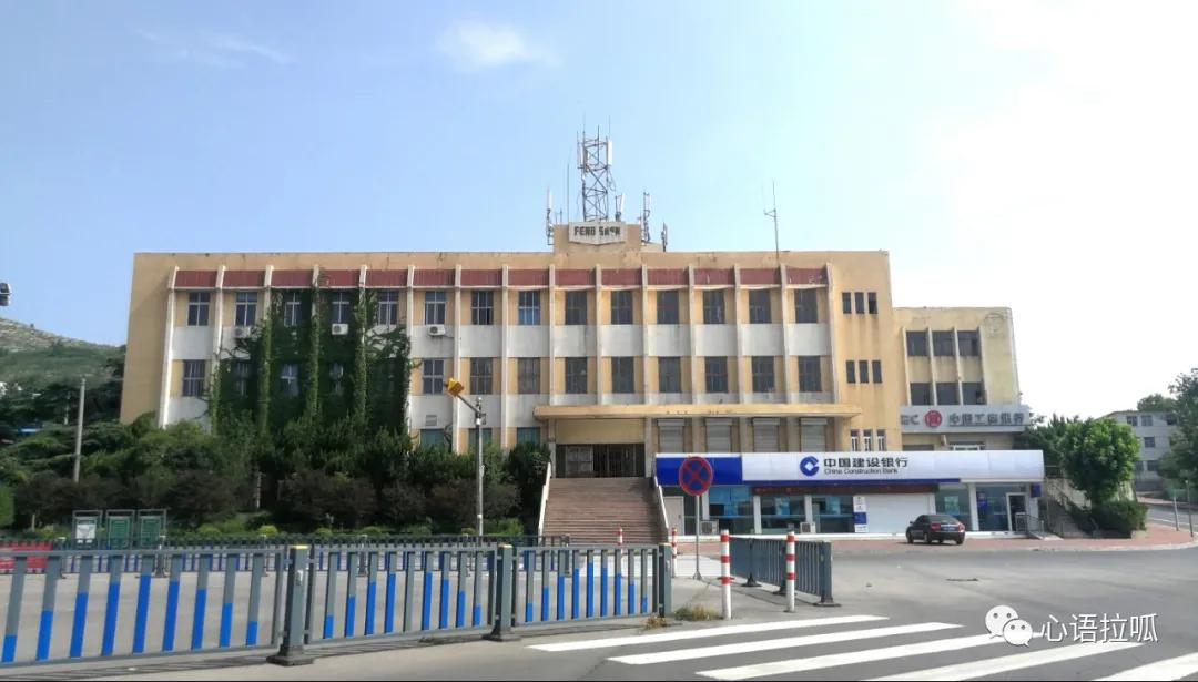 淄博曾经有合成氨和三十万