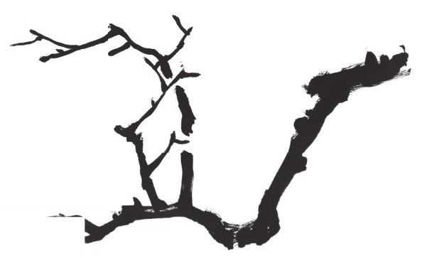 梅花入门画法教程,梅花的十种画法讲解