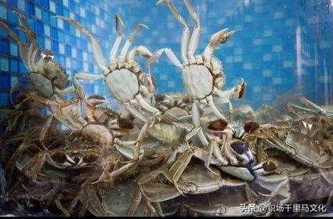 管理团队六大禁忌,论如何做好团队中层管理者