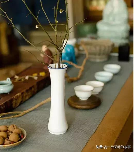 最简单的泡茶教学,手把手教你泡茶23个步骤